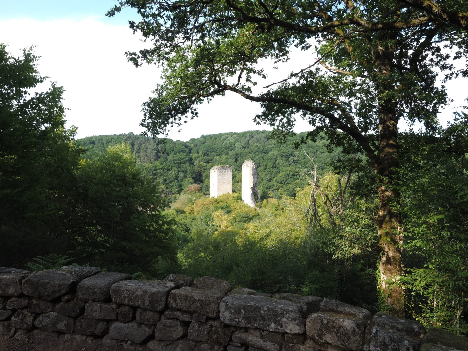 vue sur les tours de Carbonnières