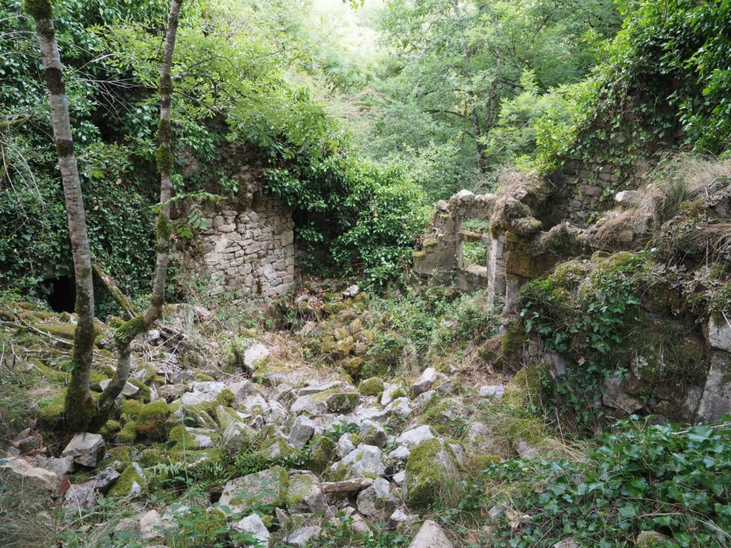 Ruines de Carbonnières