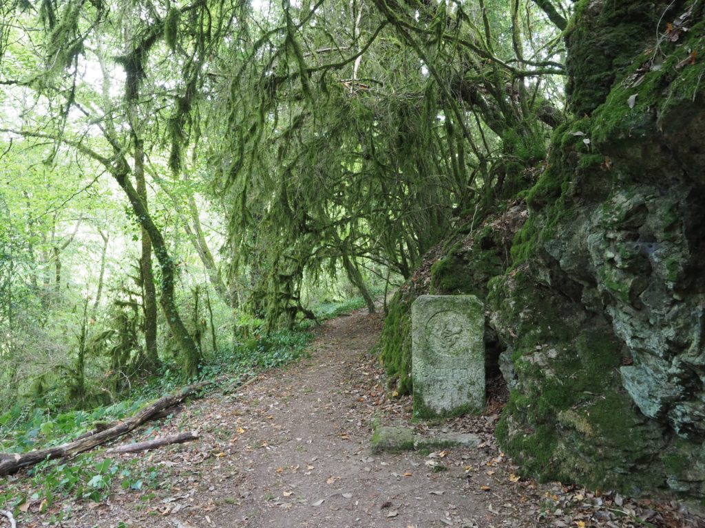 Ruines de Carbonnieres
