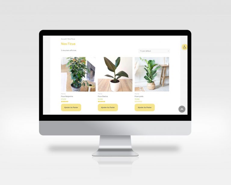 mockup d'un site internet ecommerce de passionnés de plantes vertes (ficus) créé par Studio Caleo